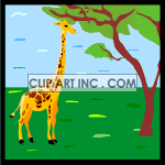 animated giraffe eating some leafs