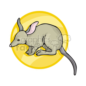 Grey Bandicoot Illustration