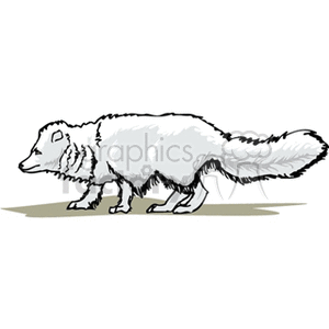 Illustration of a White Arctic Fox