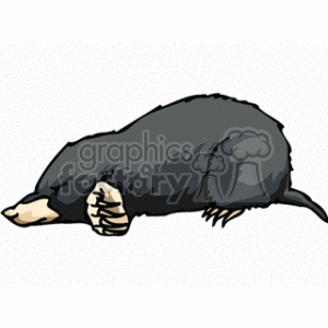  The image depicts a clipart of a sleeping mole. The mole is a small black animal with a snout, tiny eyes, and is shown in a resting position, with its forepaws tucked in close to its body and its claws visible, which are characteristic of the burrowing creature known for its ability to dig. The mole