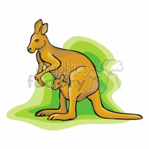 Kangaroo and Joey - Australian Wildlife
