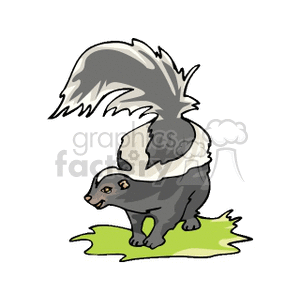 Cartoon Skunk Illustration with White Stripe and Odor Waves