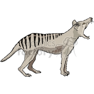 The image is a clipart illustration of a Tasmanian tiger, also known as the thylacine. It features the animal in profile, displaying its distinctive striped back, which gave it the tiger moniker. The colors used are shades of grey, and the thylacine appears to be standing with its mouth open.