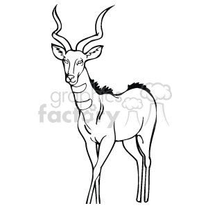 The image is a black-and-white sketch of an antelope or gazelle, with two horns on its head. 