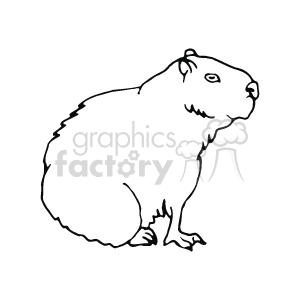 Black and white outline of a groundhog