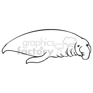 The clipart image shows a line art drawing of an elephant seal lying on its side with its head facing towards you. Elephant seals are a large seal, but have a trunk kind of extremity, which is why they are named 'elephant' seals. 