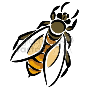 Clipart image of a honey bee with detailed wings and body.