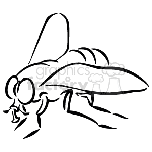   The image is a black and white line drawing of a fly. The characteristics visible are large compound eyes, segmented antennae, and the fly