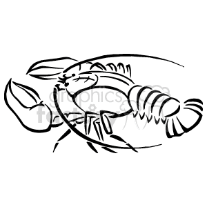 Black and white lobster 