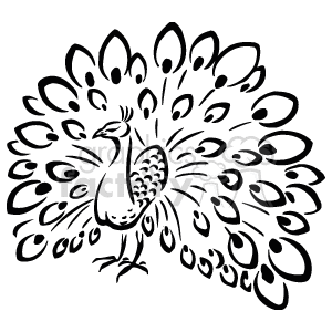 The image is a black and white clipart of a peacock. The peacock's tail is fanned out in a typical display, showcasing the eye-like patterns that are characteristic of the peacock's plumage. The bird's body is turned to the side while its head faces towards the viewer. The clipart is stylized with outlines that define the shapes and patterns of the peacock's feathers.