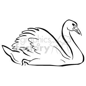 The clipart image shows one swan, which are large aquatic birds with long necks and graceful movements. The image is in black and white.
