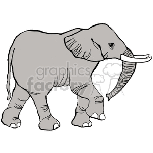 The image is a simple, grayscale clipart illustration of an elephant. It shows an elephant in profile view with large tusks and a trunk that is slightly lifted. The elephant appears to be standing still, and there are no background details.