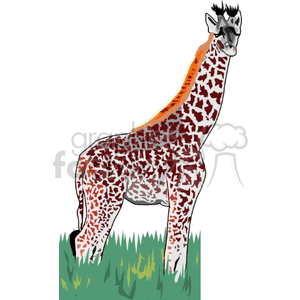 The image shows a clipart of a singular giraffe standing on green grass. The giraffe is depicted with its characteristic long neck and patterned coat, which consists of reddish-brown patches separated by white lines.