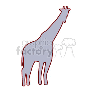 Shadowed silhouette of giraffe