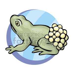 This clipart image features a cartoon-style drawing of a frog. The frog is colored in shades of green and appears to be in a sitting position, with its back toward the viewer, showing large clusters of yellow eggs attached to its back. The background has a circular shape with a gradient from white to light blue, creating the impression of water or a simple backdrop that suggests the frog's natural aquatic habitat.