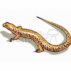 This clipart image features an orange, spotted salamander with a long tail and a slender body. The salamander is depicted with dark spots and markings along its back and sides.