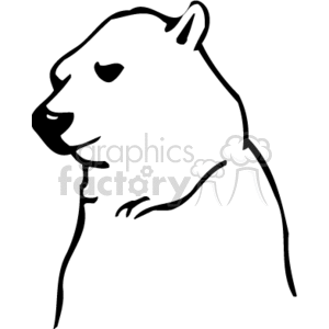 Side profile of a majestic polar bear