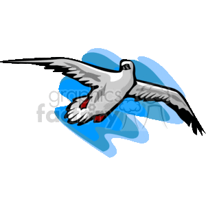 Albatross in mid-flight