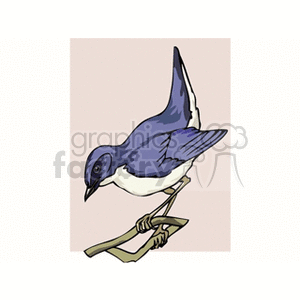 A clipart illustration of a blue and white bird perched on a branch.