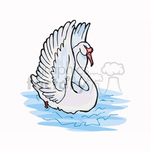 Graceful cob swan swimming on blue water