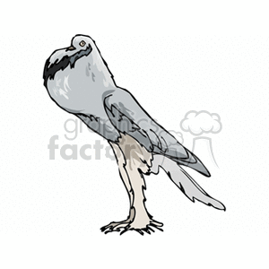 Clipart image of a grey bird with a prominent chest and long legs.