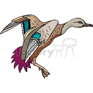 Clipart image of a colorful duck in flight with wings outstretched.