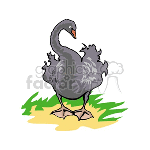 Clipart image of a swan standing on grass.