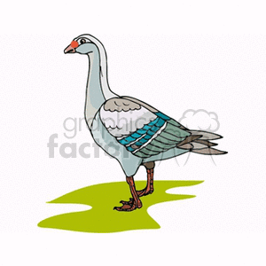 A clipart illustration of a goose standing on the ground with green grass. The goose has a grey body, white head and neck, brown and blue shaded wings, and red legs and beak.