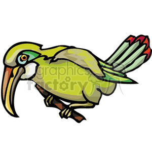 A colorful clipart image of a tropical bird perched on a branch, with green and yellow feathers and a long beak.