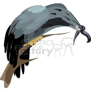 Clipart image of a hawk perched on a tree branch, featuring dark and light gray feathers with a hooked beak.