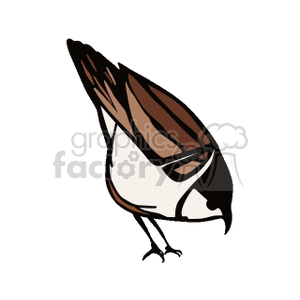 A clipart image of a small bird with brown and white feathers, looking downwards.
