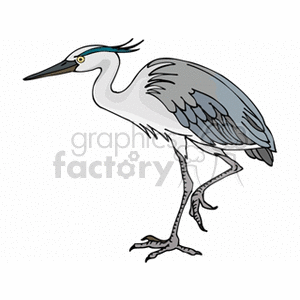 A clipart image of a heron with gray and white plumage standing in profile.