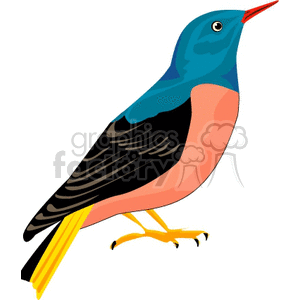 A colorful clipart image of a bird characterized by its blue head, orange underbelly, black wings, and yellow legs.