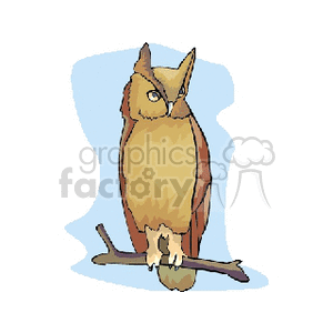 A clipart image of an owl perched on a branch with a blue background.