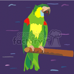 A colorful clipart image of a parrot with green, yellow, red, and blue feathers, perched on a wooden branch against a purple background.