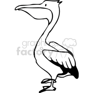 A simple black and white clipart of a pelican standing upright.