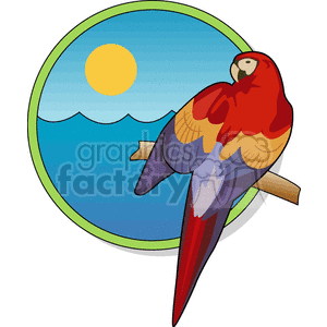 Scarlet macaw against a tropical beach background