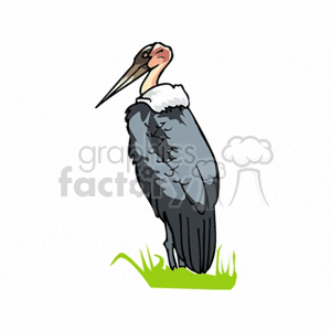 A clipart image of a large bird, likely a stork, standing on grass.