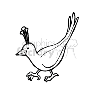 A black and white clipart image of a bird with a simple design. The bird has a long tail, a crest on its head, and is standing on the ground.