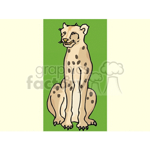 Leopard seated against a green background