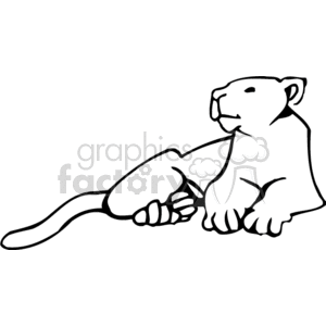 The clipart image depicts a line drawing of a lion, with features such as a broad muzzle, large paws, and a distinct tail, characteristic of these felines.