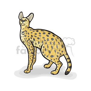 Full body side profile of a serval cat