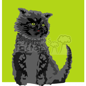 Black fluffy cat against a green background