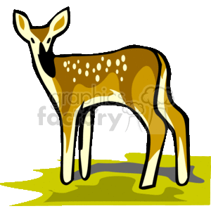 Abstract baby white-tailed deer fawn