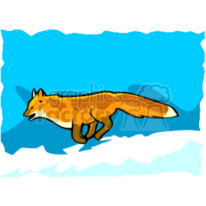 11_fox