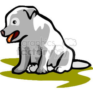   This is a cartoon of a grey/white puppy. It