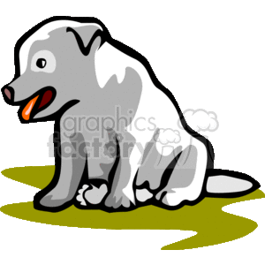 Cartoon puppy