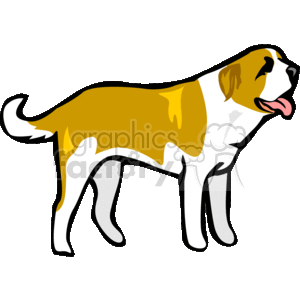 This clipart image shows a saint bernard's dog, standing facing the right of the image. It has a brown and white mixture of fur colors, with its tongue hanging out of its mouth