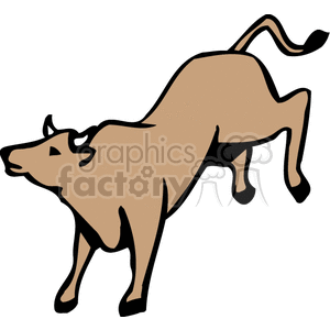 Brown Bull for Farm and Rodeo Design Use