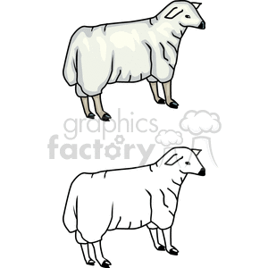 The clipart image depicts two sheep or lambs with white wool. The one on top is fully colored in, while the one at the bottom appears as a black-and-white line drawing, likely intended to be colored in manually. 